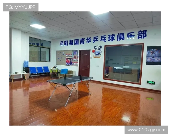 从零基础到乒乓球高手：全面解析比赛技巧与实战经验